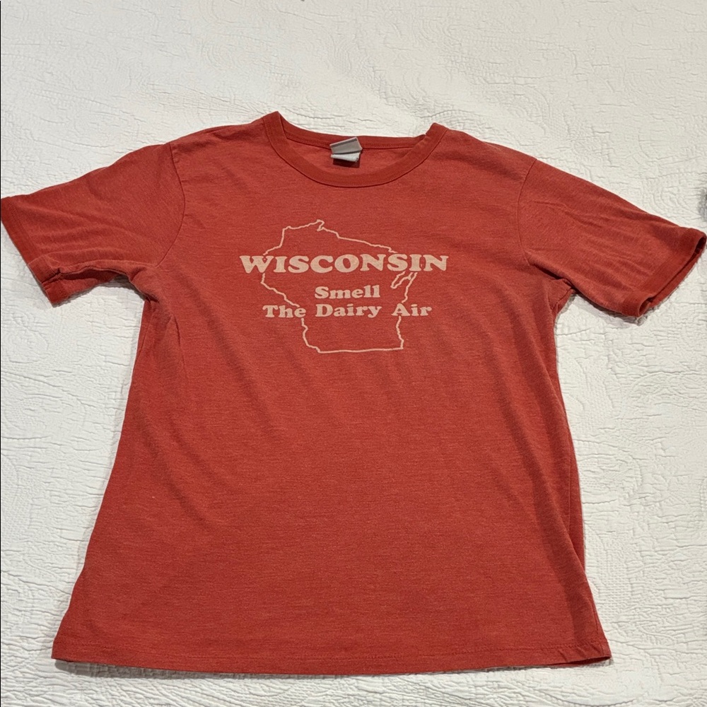 Vintage Rust Colored Wisconsin-Smell the Dairy Air Graphic T-Shirt Sz S Women’s